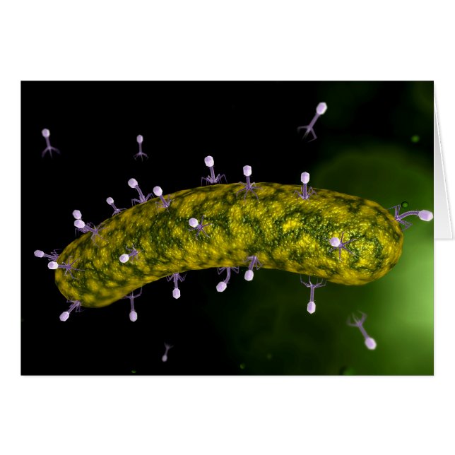 細菌性食塩攻撃の顕微鏡的見解 (正面横)