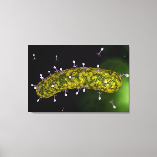 細菌性食塩攻撃の顕微鏡的見解 キャンバスプリント (正面)