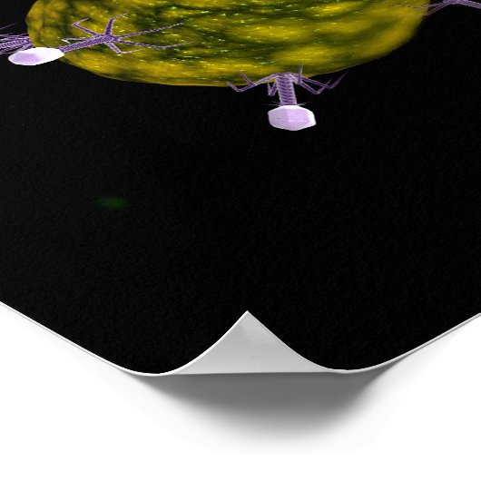 細菌性食塩攻撃の顕微鏡的見解 ポスター (角)