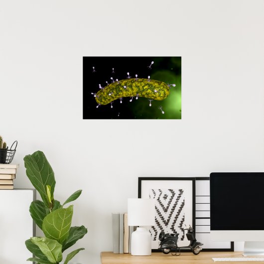 細菌性食塩攻撃の顕微鏡的見解 ポスター (ホームオフィス)