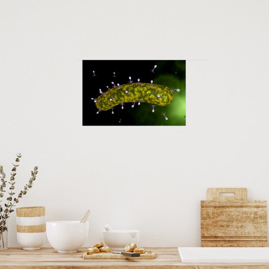 細菌性食塩攻撃の顕微鏡的見解 ポスター (キッチン)