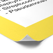 細菌感染の概要 ポスター (角)