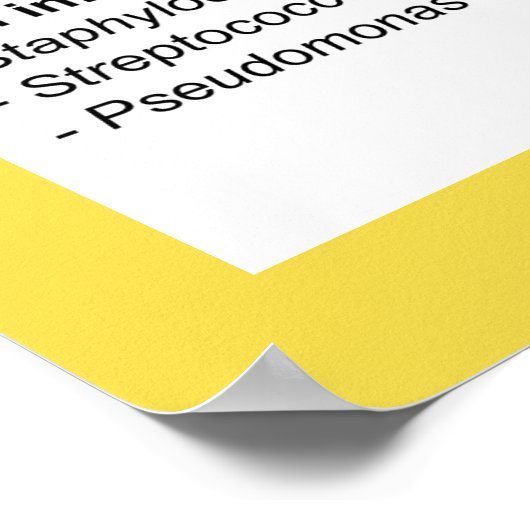 細菌感染の概要 ポスター (角)