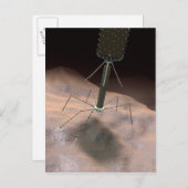 細菌相の現実的なイラストレーション ポストカード (正面/裏面)