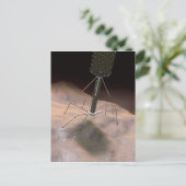 細菌相の現実的なイラストレーション ポストカード (スタンド正面)