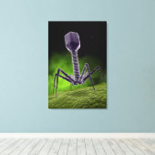 細菌相の顕微鏡的見解 キャンバスプリント (インサイチュ (ウッドフロア))