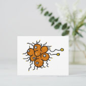 細菌 ポストカード (スタンド正面)