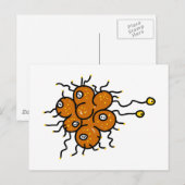 細菌 ポストカード (正面/裏面)