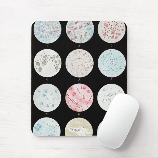 細菌 マウスパッド (マウス)