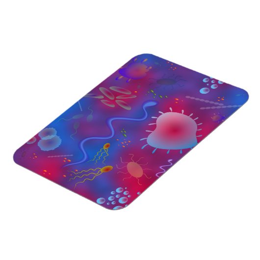 細菌 マグネット (左側)