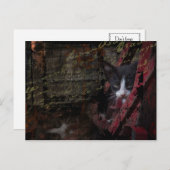 細道007の郵便はがき ポストカード (正面/裏面)