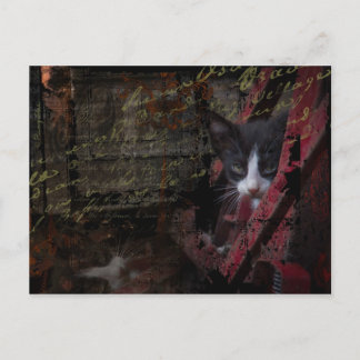 細道007の郵便はがき ポストカード