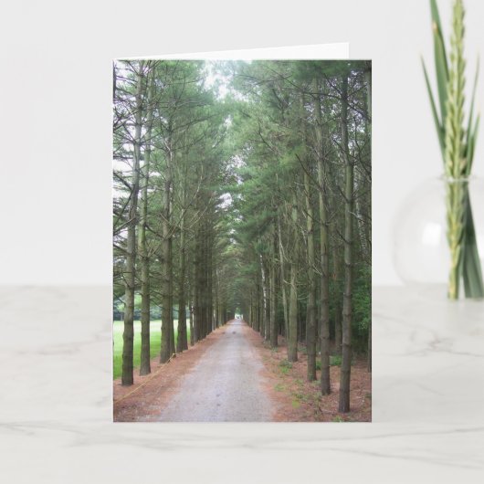 細道 カード (正面)