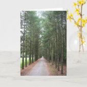 細道 カード (黄色い花)