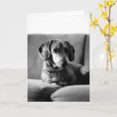 紳士Daschund カード (黄色い花)