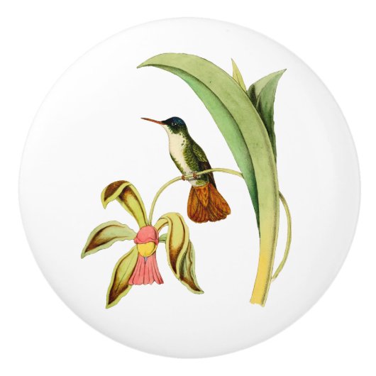 紺碧によって戴冠させるハチドリ セラミックノブ (正面)