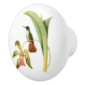 紺碧によって戴冠させるハチドリ セラミックノブ (右)