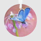 紺碧の蝶 オーナメント (裏面)
