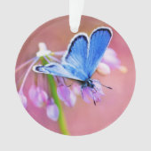 紺碧の蝶 オーナメント (正面)
