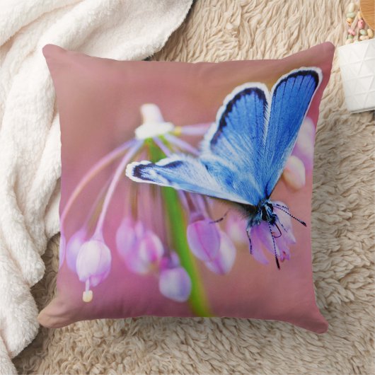 紺碧の蝶 クッション (ブランケット)