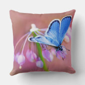 紺碧の蝶 クッション (裏面)