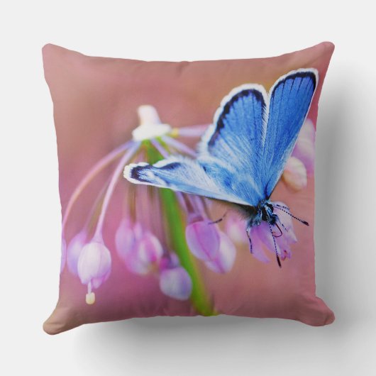 紺碧の蝶 クッション (裏面)