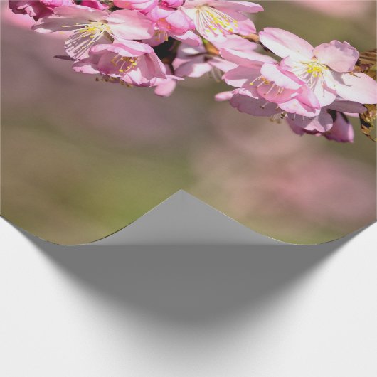 終わりなき美しいの桜さくらんぼ ラッピングペーパー (角)