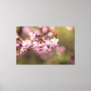 終わることのない桜の美しさ キャンバスプリント
