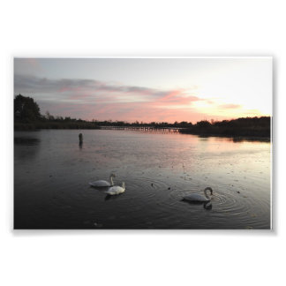 終日 フォトプリント           