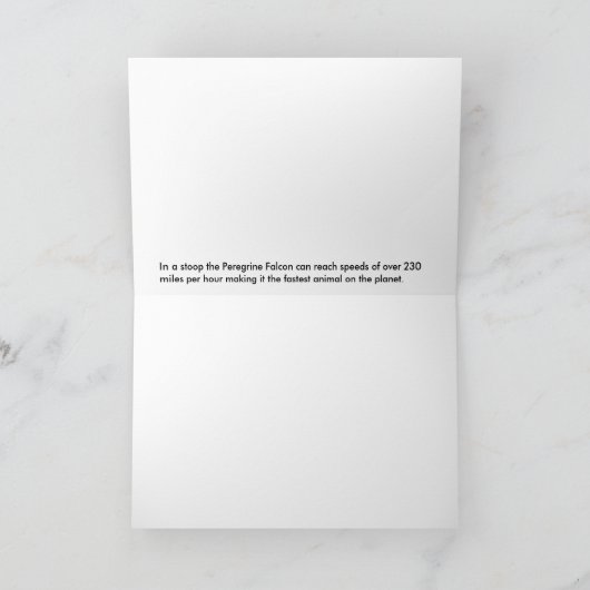 終末速度のハヤブサ カード (内部)