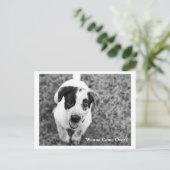 終来わるか？ ポストカード (スタンド正面)