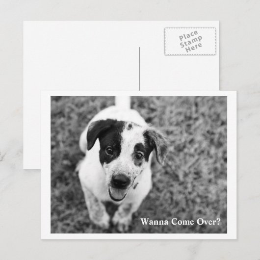 終来わるか？ ポストカード (正面/裏面)