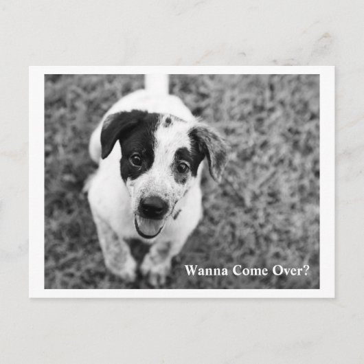 終来わるか？ ポストカード (正面)