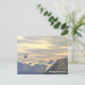 終端速度ペレグリン《鳥》ハヤブサ ポストカード (スタンド正面)