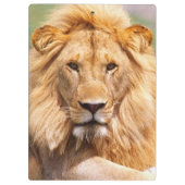 組のアフリカのライオン、ヒョウ属レオ、タンザニア クリップボード (裏面)