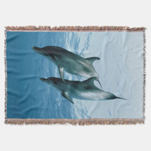組のイルカ スローブランケット (正面)