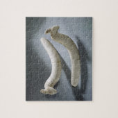 組のカスタネット、Thiniteの期間(カバiv ジグソーパズル (縦)