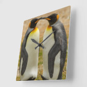 組のキングペンギン、フォークランド スクエア壁時計 (傾斜)