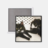 組のタキシード猫の磁石 マグネット (正面/裏面)