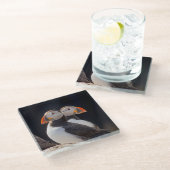 組のツノメドリ ガラスコースター (アングル)