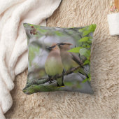 組のヒメレンジャク クッション (ブランケット)