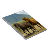 組のブラウンのアイスランド人の子馬 ノートブック (右側)