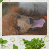 組のプードル キッチンタオル (折り畳み)