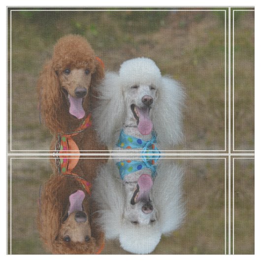 組のプードル ファブリック (クローズアップ)