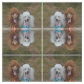 組のプードル ファブリック (見本)