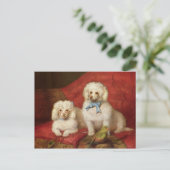 組のプードル ポストカード (スタンド正面)