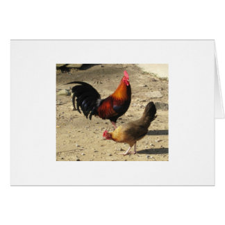 組の円形のヘッドGamebirds
