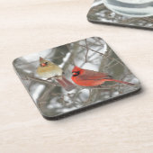 組の北の（鳥）ショウジョウコウカンチョウ コースター (左側)