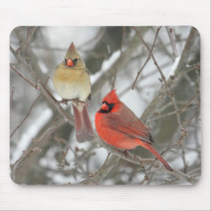 組の北の(鳥)ショウジョウコウカンチョウ マウスパッド