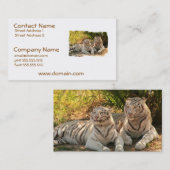 組の白いトラの名刺 名刺 (正面/裏面)